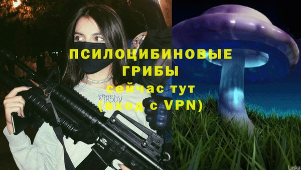 кокс Алзамай