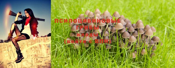 кокс Алзамай