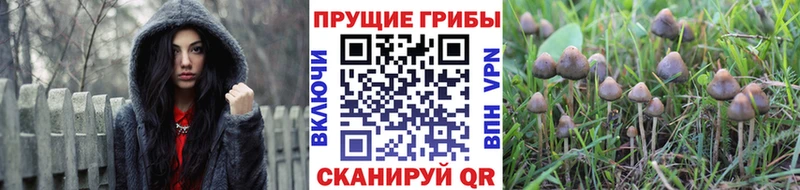 Галлюциногенные грибы мухоморы  купить   мориарти клад  Нижнеудинск 